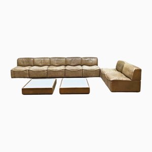 Modulares Vintage Ledersofa von De Sede, 1970er, 9er Set