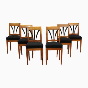 Biedermeier Stühle aus Kirschholz, 1820, 6er Set