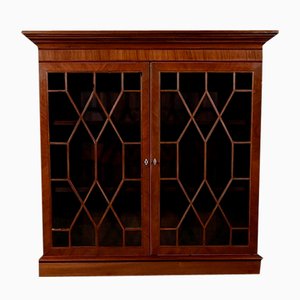 Small English Mahogany Showcase