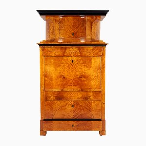 Biedermeier Birch Secretary, 1820s