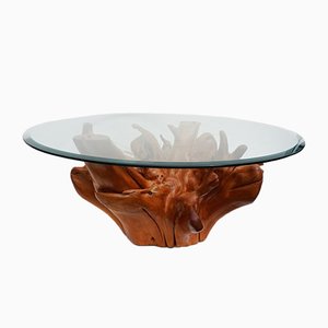 Mesa de centro Mid-Century de raíz de árbol de teca con tablero de vidrio biselado