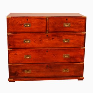 Antique Campaign Chest of Drawers in Camphor Wood