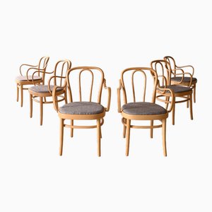 Model Wien Chairs from Gemla Company, 1960s, Set of 6