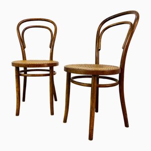 Mid-Century Stühle aus Bugholz & Rohrgeflecht von Michael Thonet, 1950er, 2er Set