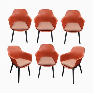 Dining Chair in Coral with Cushions, Set of 6