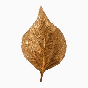 Rhubarb Leaf Wall Light from Tommaso Barbi