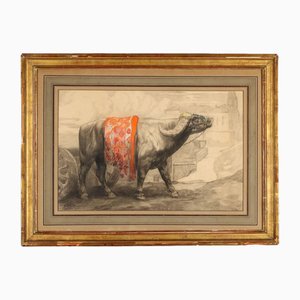 Paul Jouve, Buffalo, Bleistift und Aquarell auf Papier, gerahmt