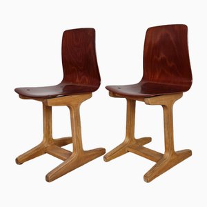 Set of Pagwood and Beech Children's Chairs by Adam Stegner for Flötotto, 1960s