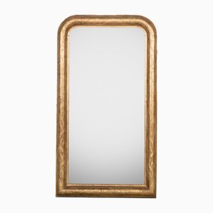 Miroir étroit Louis Philippe avec Fleurs, 19ème Siècle