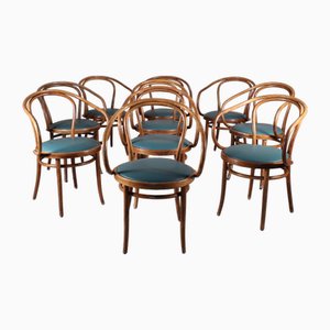 Sedie di Thonet, set di 10