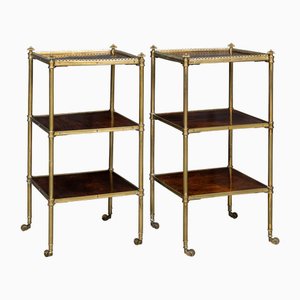 Antique 19th Century Rosewood & Brass 3-Tier Shelves, 1820s, Set of 2