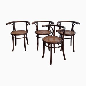 Bentwood Dining Chairs with Rattan Seats from Cosmos, 1930s, Set of 4