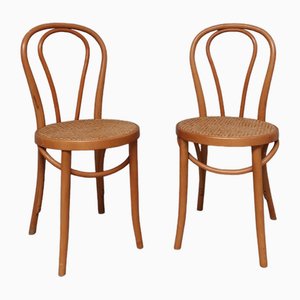 Set of Bentwood Webbing Dining Chairs