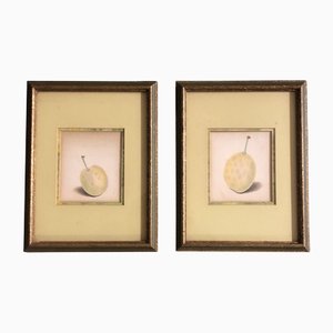 Hyper Realistic Fruit, 1950s, Drawings on Paper, Set of 2, Framed