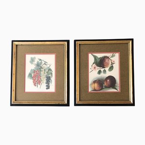 Peaches & Grapes, 1960s, Lithographs, Set of 2