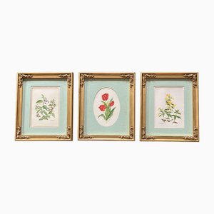 Flowers, 1970s, Watercolor on Paper, Framed, Set of 3