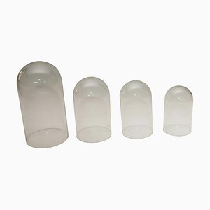 Glass Cloches, Set of 4