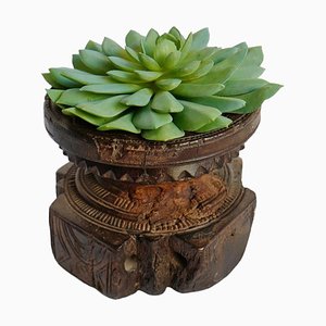 Vintage Seed Sorter with Faux Succulent