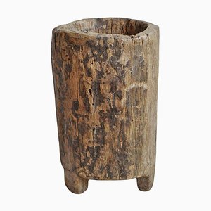 Naga Wood Trunk Pot