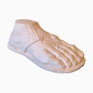 Scultura romana del piede in gesso