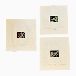 Colibríes, litografías en relieve, años 70. Juego de 3