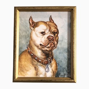 Pit Bull Terrier, 1980s, Aquarelle sur Papier