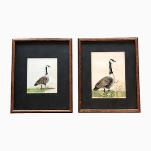 Untitled, Watercolors, Framed, Set of 2