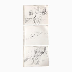 Nudi femminili sdraiati, Disegni a inchiostro, anni '70, set di 3