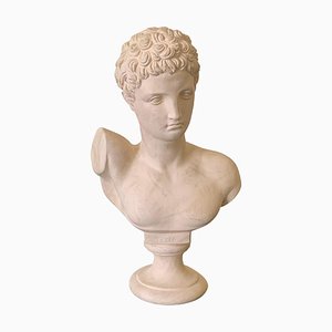 Vintage Plaster Male Bust of Hermes Sculpture