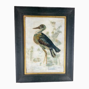 Amerikanischer Künstler, Great Blue Heron, 1800er, Öl auf Leinwand