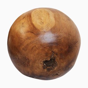 Teak Wurzelballen