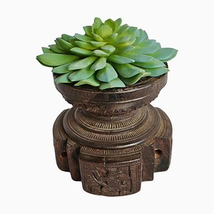 Vintage Rich Aged Brown Wood Seed Sorter with Faux Succulent Arrangement