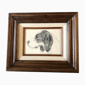 Sweet Hound Portrait Drawing, 1950s, Ink on Paper, Framed