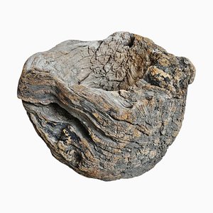 Indische Schüssel aus Wurzelholz, Mitte des 20. Jahrhunderts