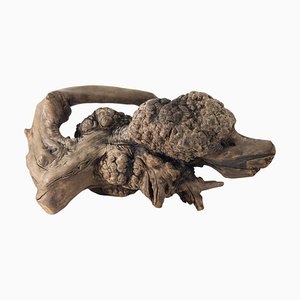 Figura di cane barboncino Rootwood Driftwood