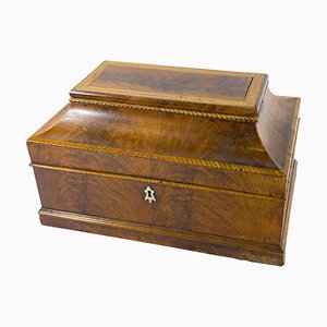 Caja para documentos italiana de madera nudosa de nogal, siglo XIX