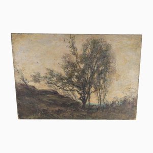 American Barbizon Tonalist School Artist, Landscape Study of Trees, 1800, Dipinto su tela