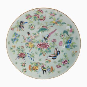 Plato de pared decorativo con medallón de Famille Rose esmaltado con celadón chino, siglo XIX