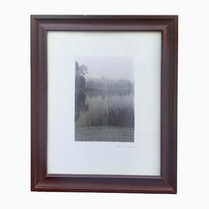Christine Triebert, Foggy Landscape, Années 90, Impression, Encadré