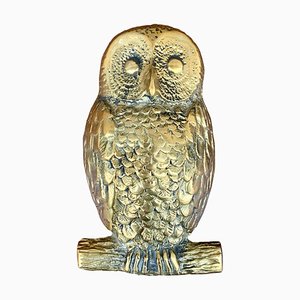 Vintage Cast Brass Owl Door Knocker