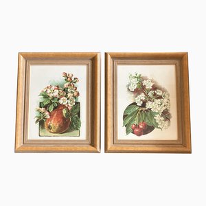 Fruit & Flowers, Lithograph Prints, 1970s, Set of 2