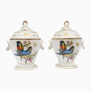French Sevres Porcelain Lidded Pots with Parrots, Set of 2
