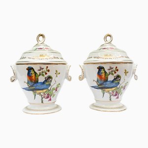 Macetas francesas de porcelana Sevres con loros. Juego de 2