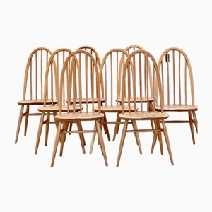 Elm Dining Chairs from Ercol, Set of 8
