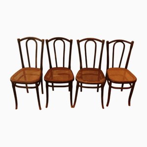 Sillas de bistró vintage de Michael Thonet para Gebrüder Thonet Vienna Gmbh, 1904. Juego de 4