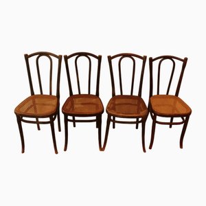 Vintage Bistro Chairs by Michael Thonet for Gebrüder Thonet Vienna Gmbh, 1904, Set of 4