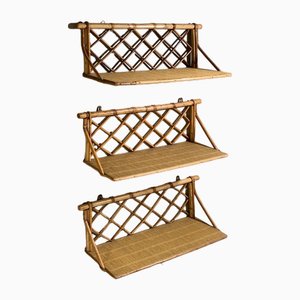 Shelving Units attributed to Adrien Audoux & Frida Minet, France, 1950s, Set of 3