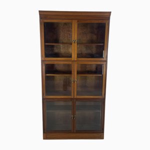 Vintage Mahogany Glazed Bookcase from Esavian, 1950s