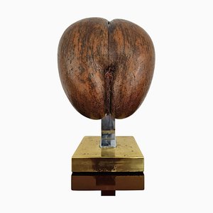 Double Coconut Sculpture on Brass Stand, France, 1970s