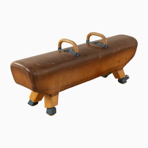 Pommel Horse Bank, 1960er